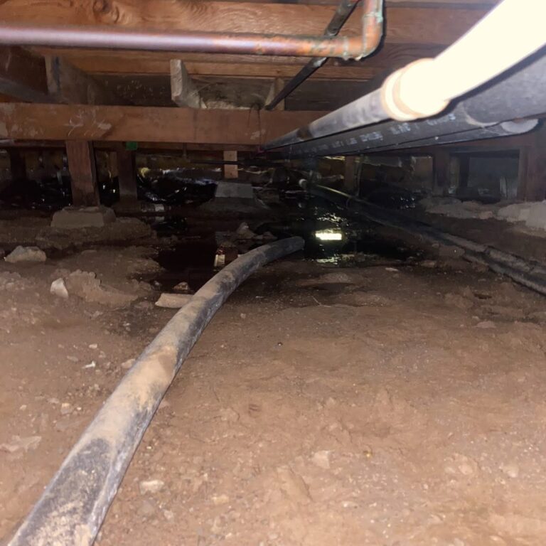 Signs You Need Emergency Water Damage Restoration Right Away